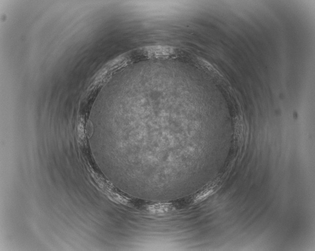 X0000057070761200509231558