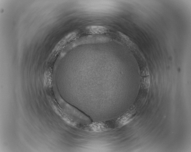 X0000057070762200509231558