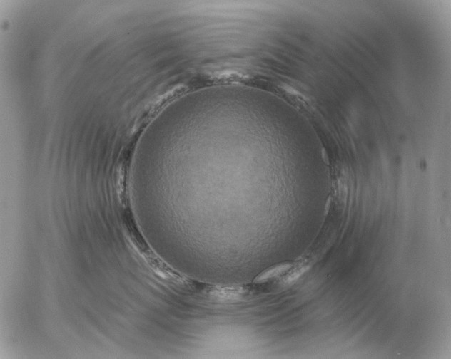X0000057070767200509231558