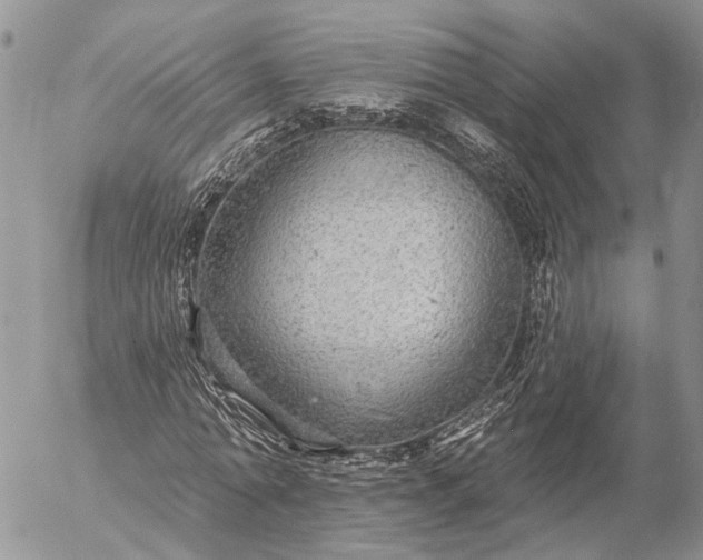 X0000057070774200509231557