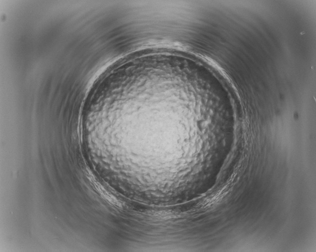 X0000057070791200509231557