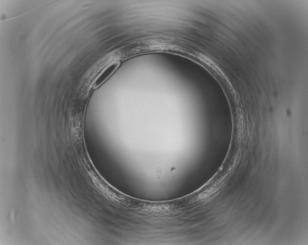 X0000057070801200509231556