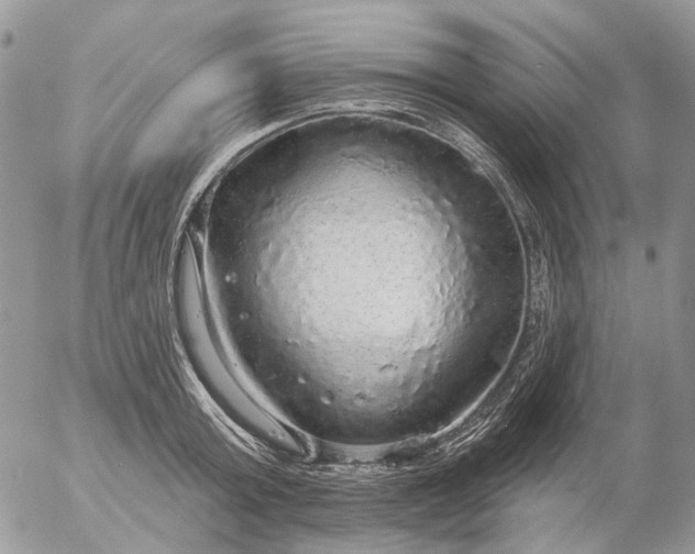 X0000057070803200509231556