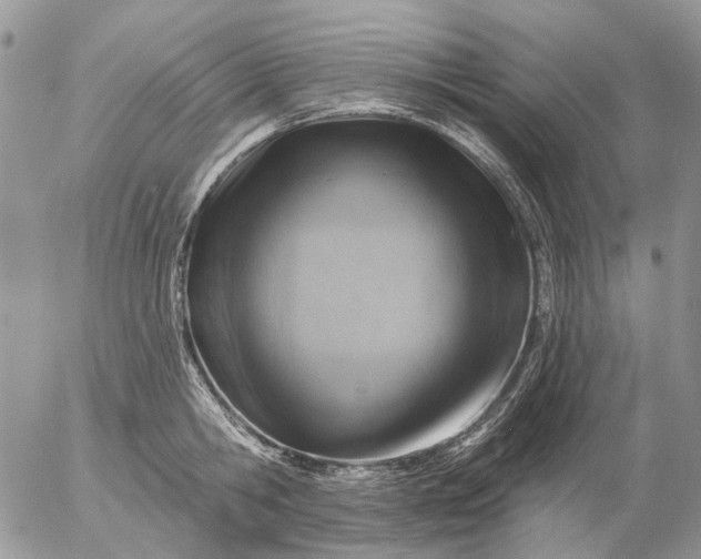 X0000057070806200509231556