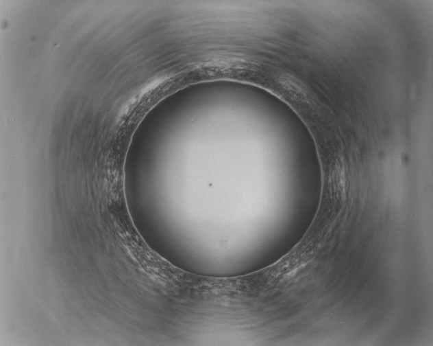 X0000057070822200509231555