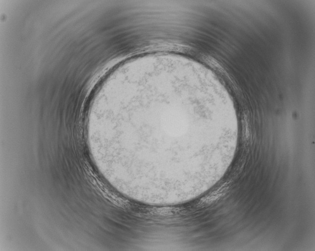 X0000057070828200509231555