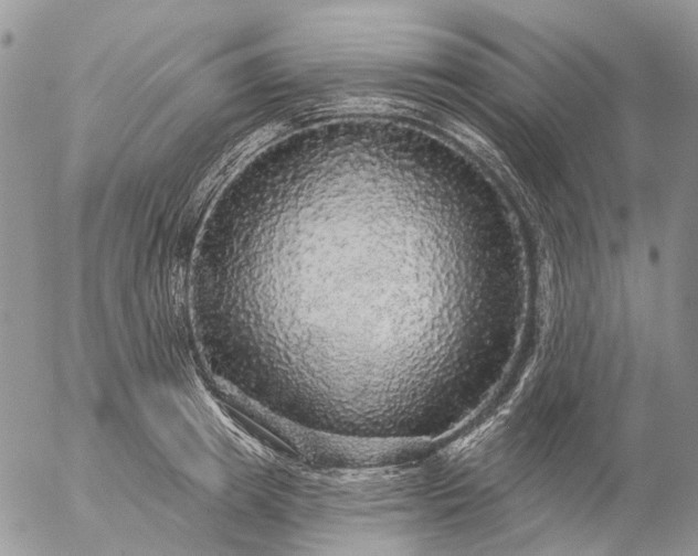 X0000057070849200509231556