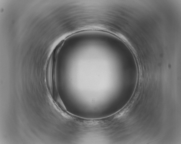 X0000057070862200509231556