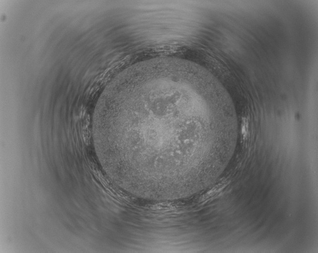 X0000057070867200509231555