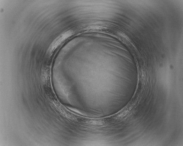 X0000057070874200509231555