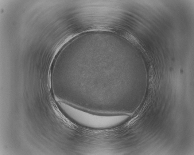 X0000057070892200509231555