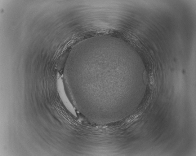 X0000057070916200509231554