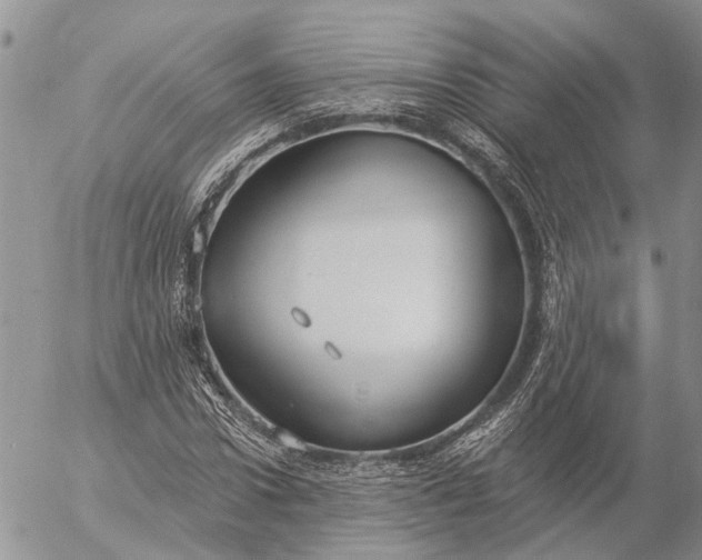 X0000057070922200509231554