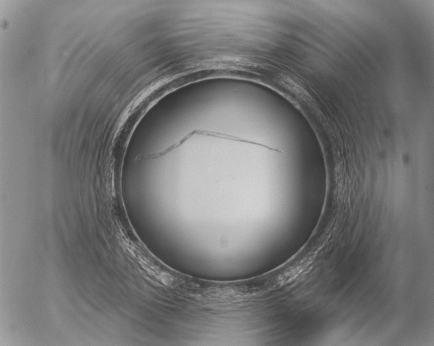 X0000057070931200509231554