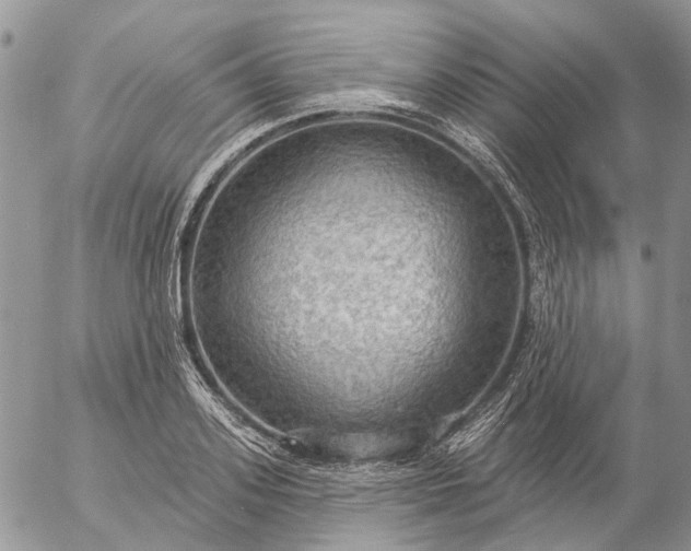 X0000057070939200509231554