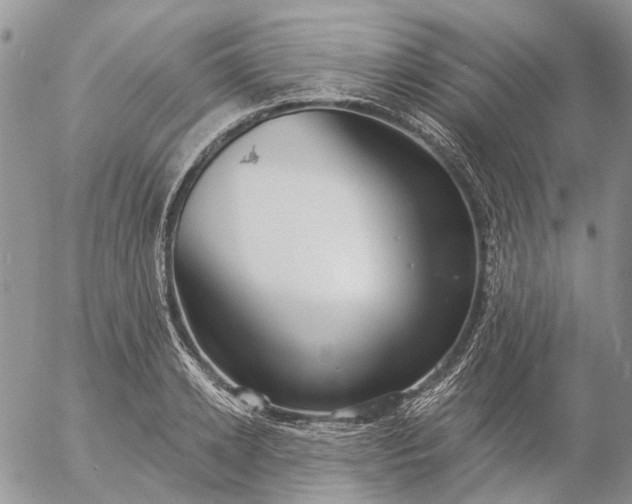 X0000057070942200509231554