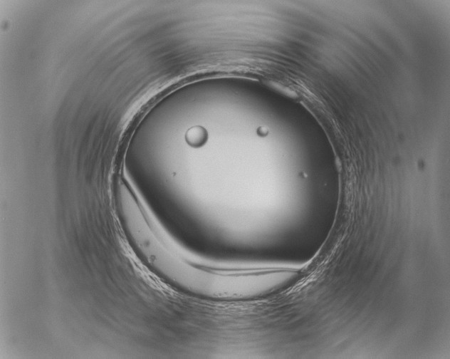 X0000057070944200509231554