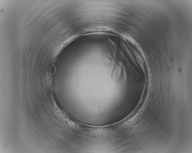 X0000057070945200509231554