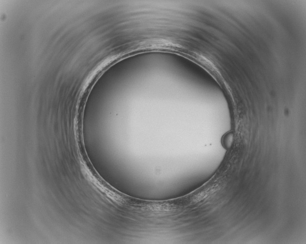 X0000057070947200509231554