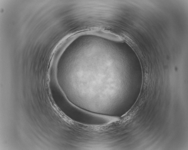 X0000057070948200509231554