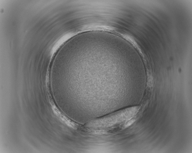 X0000057070952200509231554