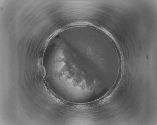 X0000057070953200509231554