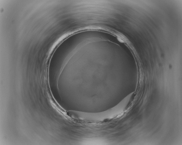 X0000057070958200509231554