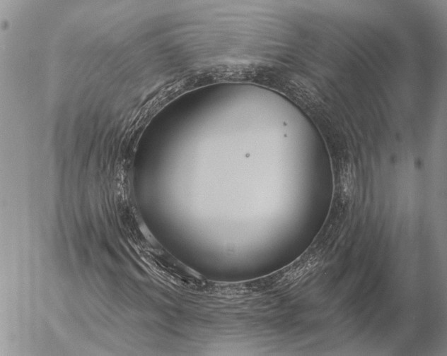 X0000057070964200509231554