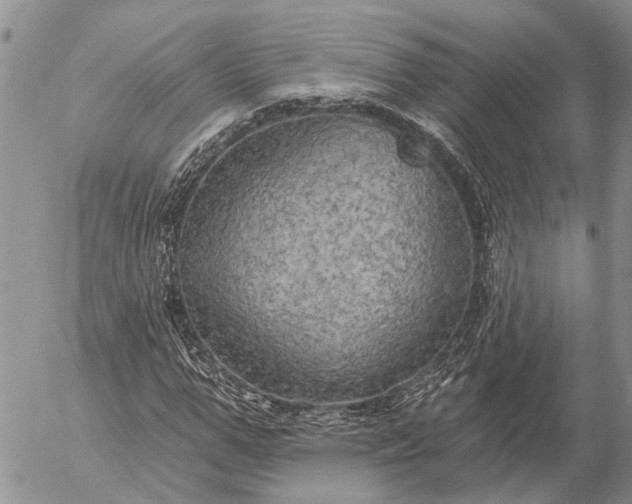 X0000057070967200509231554