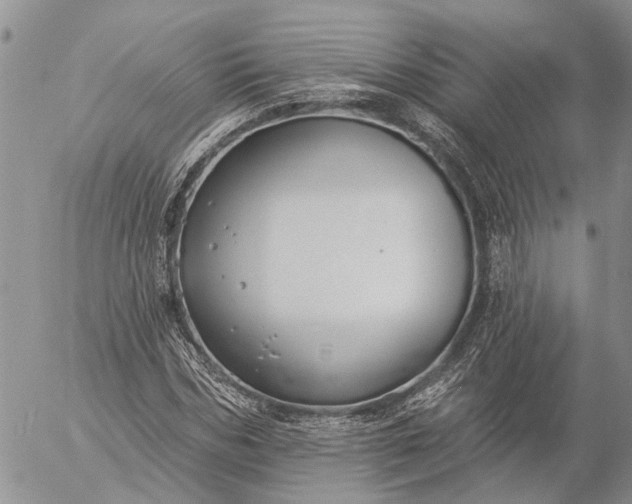 X0000057070970200509231554