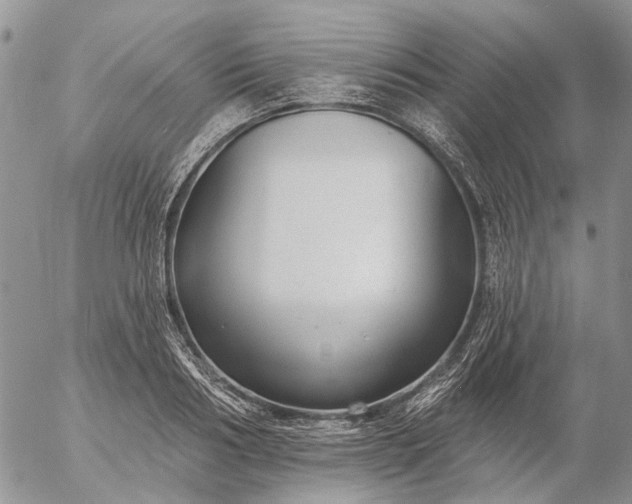 X0000057070986200509231553