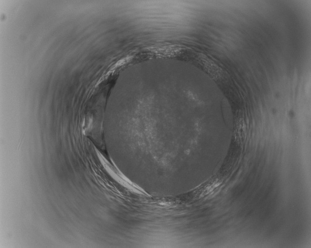 X0000057071010200509231552