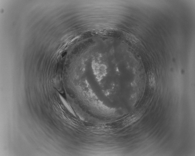 X0000057071060200509231552