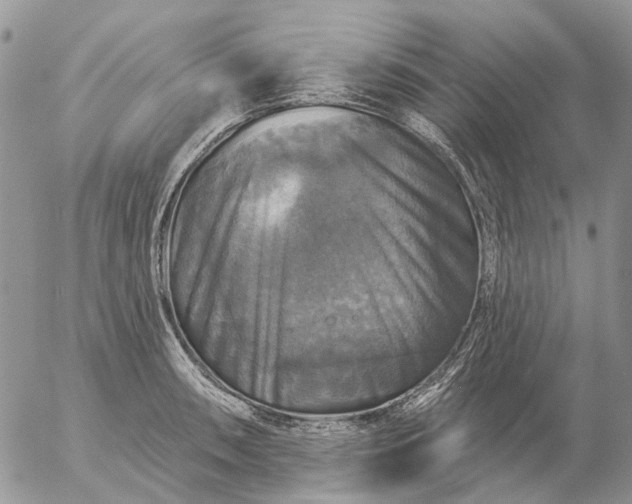X0000057071090200509231552