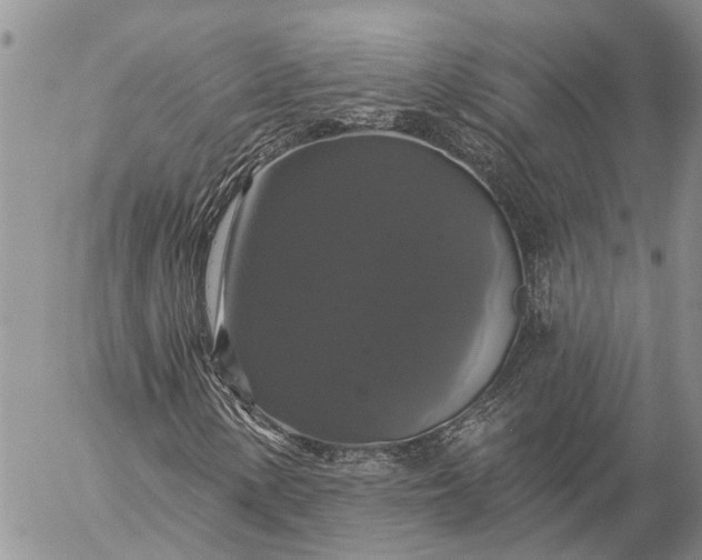 X0000057071154200509231550