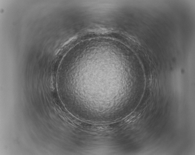 X0000057071205200509231549