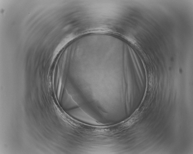 X0000057071466200509231545