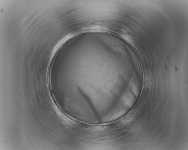 X0000057071474200509231545