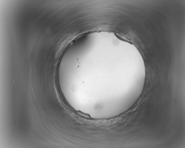 X0000057070001200510010146