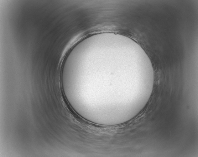 X0000057070004200510010145