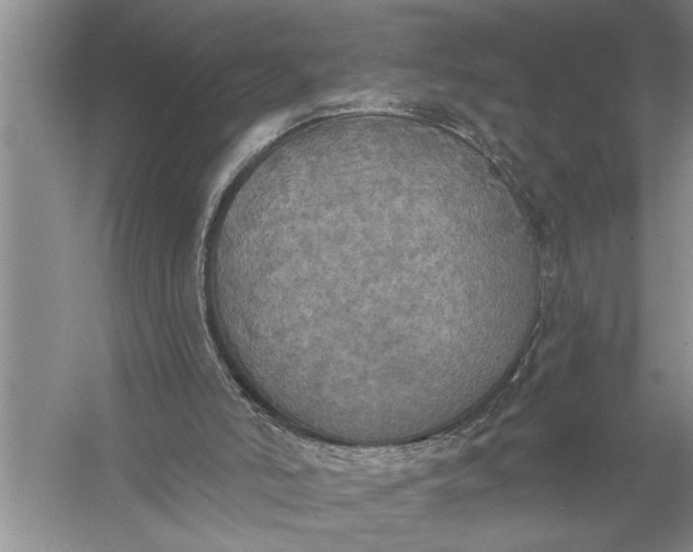 X0000057070006200510010145