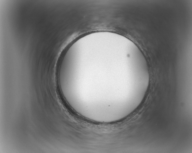 X0000057070008200510010145