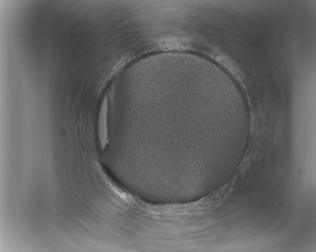 X0000057070009200510010145