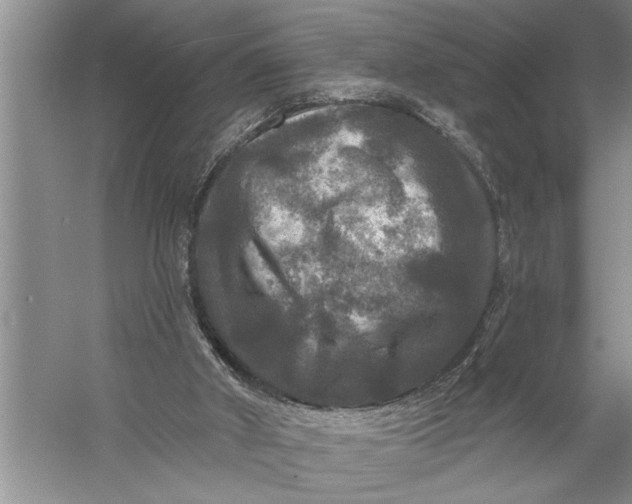 X0000057070010200510010145