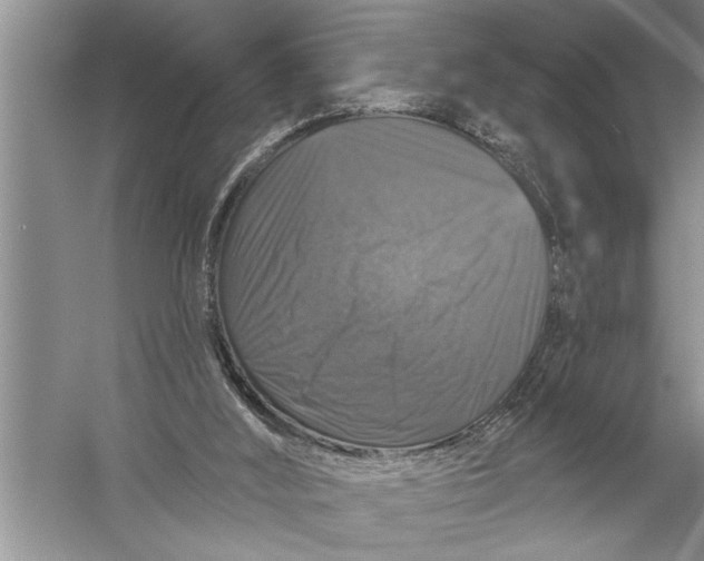 X0000057070012200510010145