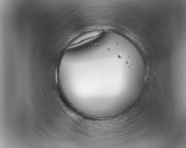 X0000057070013200510010145