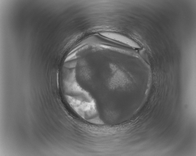 X0000057070014200510010145