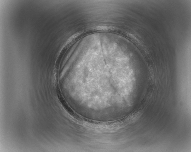 X0000057070016200510010145