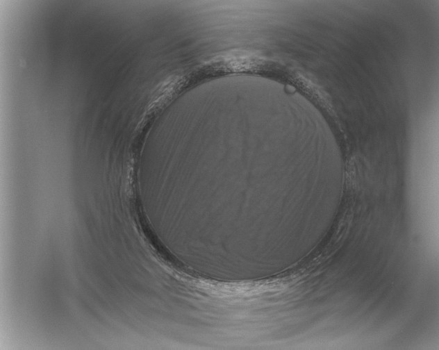 X0000057070018200510010145