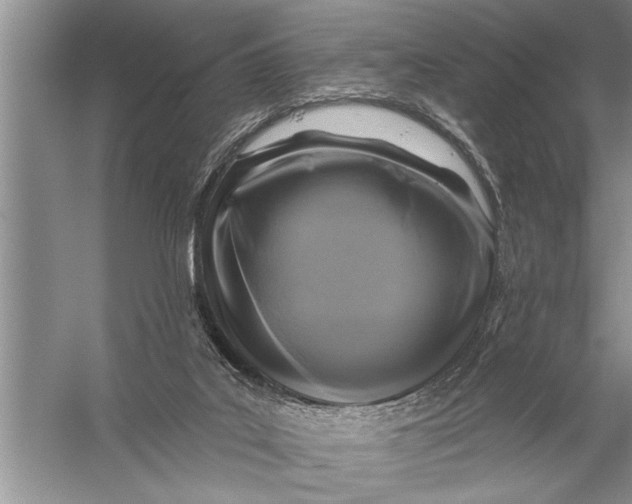 X0000057070019200510010145